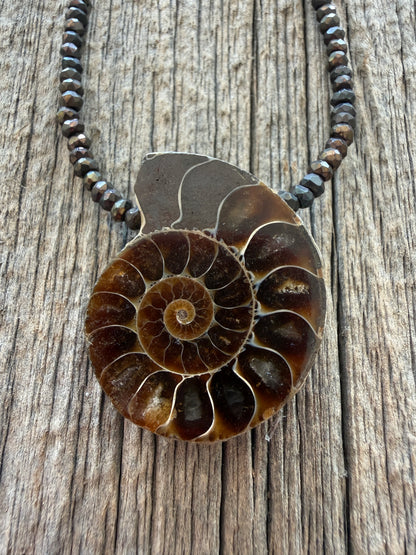 Ammonite fossil on chocolate pyrite necklace. 17.5-19”